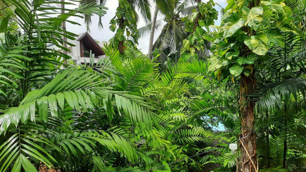 Nirmala Villa Habaraduwa Ngoại thất bức ảnh